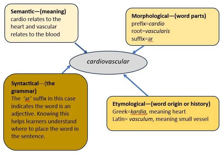 Spelling approach diagram
